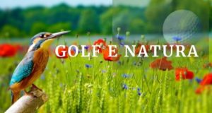 sport golf natura
