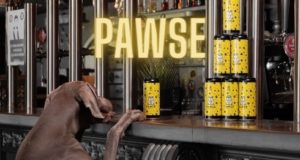 Pawse birra per cani
