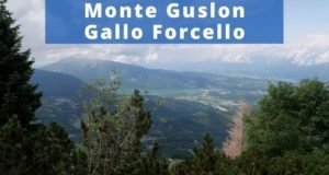 Monte Guslon Gallo Forcello